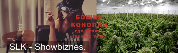 сатива Баксан
