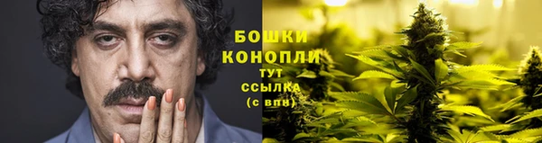 сатива Баксан
