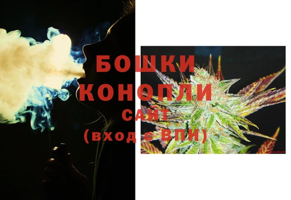 сатива Баксан
