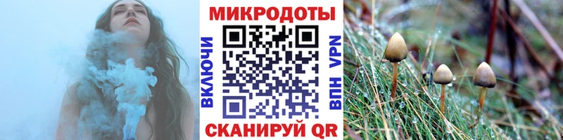Псилоцибиновые грибы GOLDEN TEACHER  как найти закладки  Калуга 